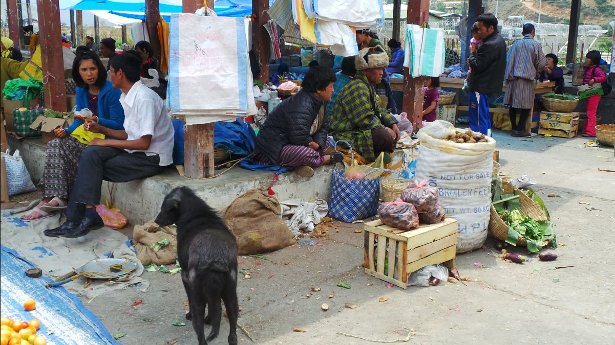 Local Open Market16